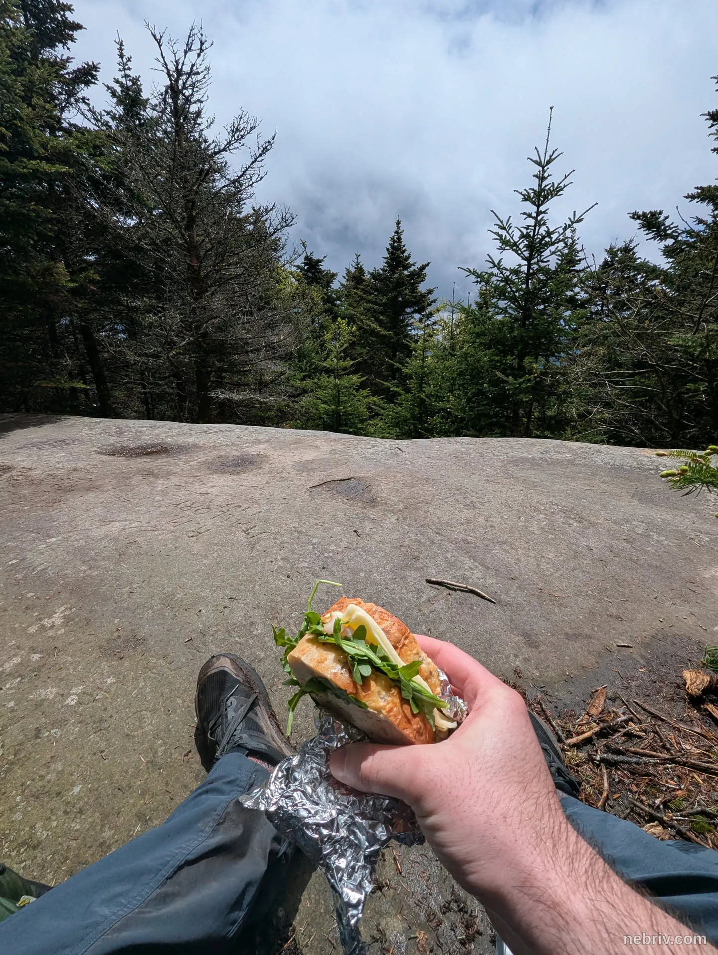 Image taken in Tannersville, United States of America on June 1, 2025
