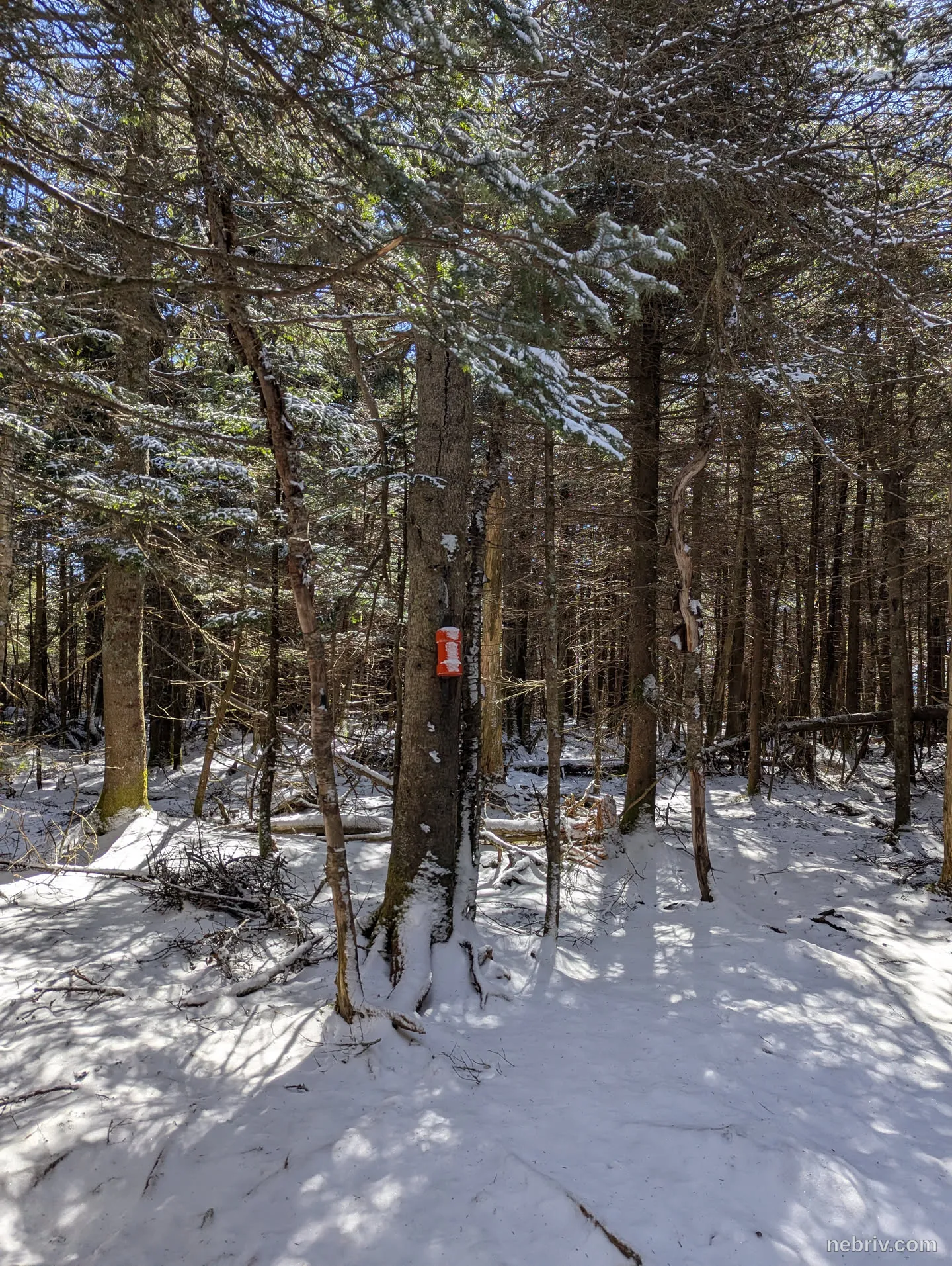 Image taken in Tannersville, United States of America on March 23, 2025