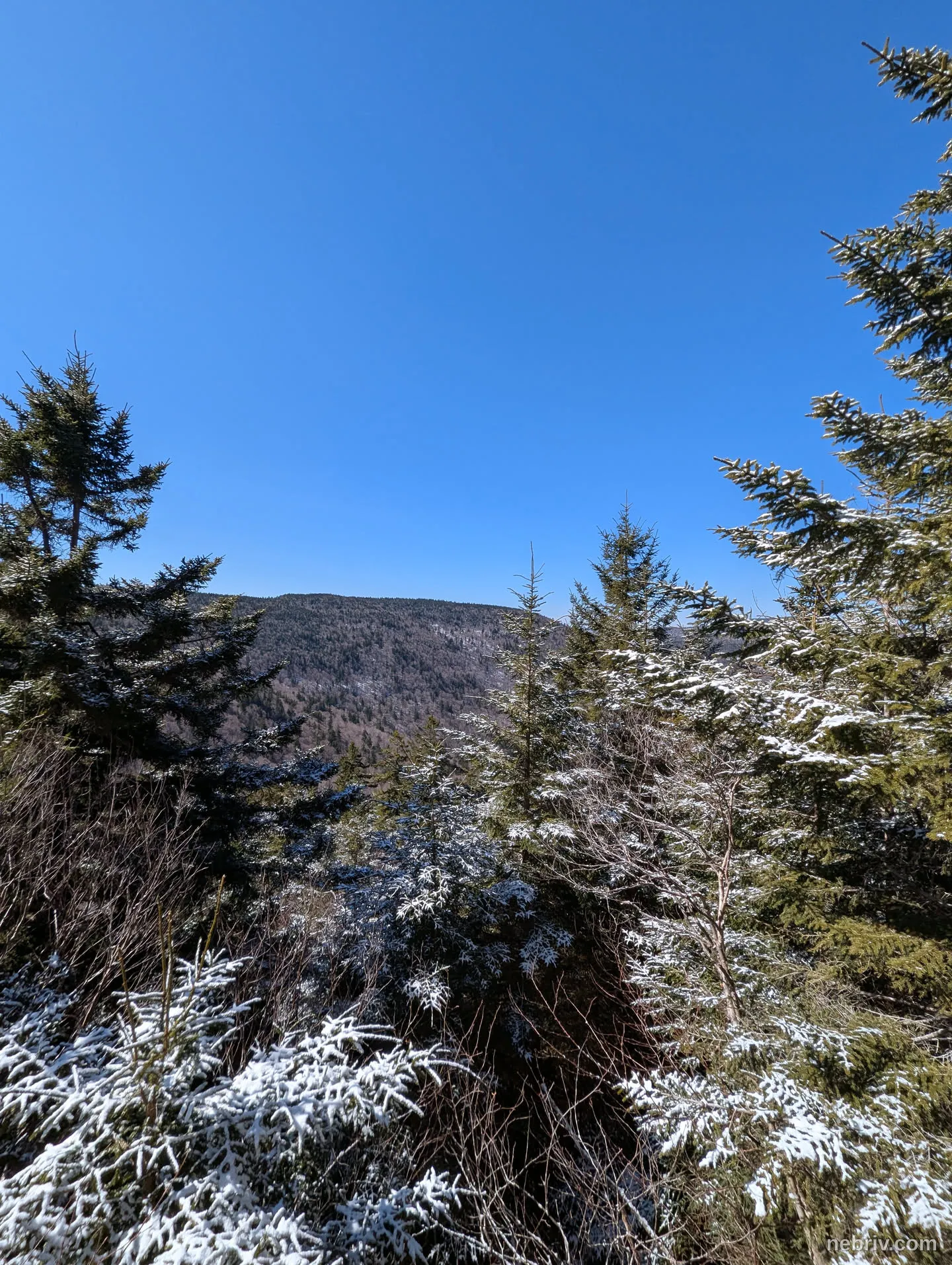 Image taken in Tannersville, United States of America on March 23, 2025