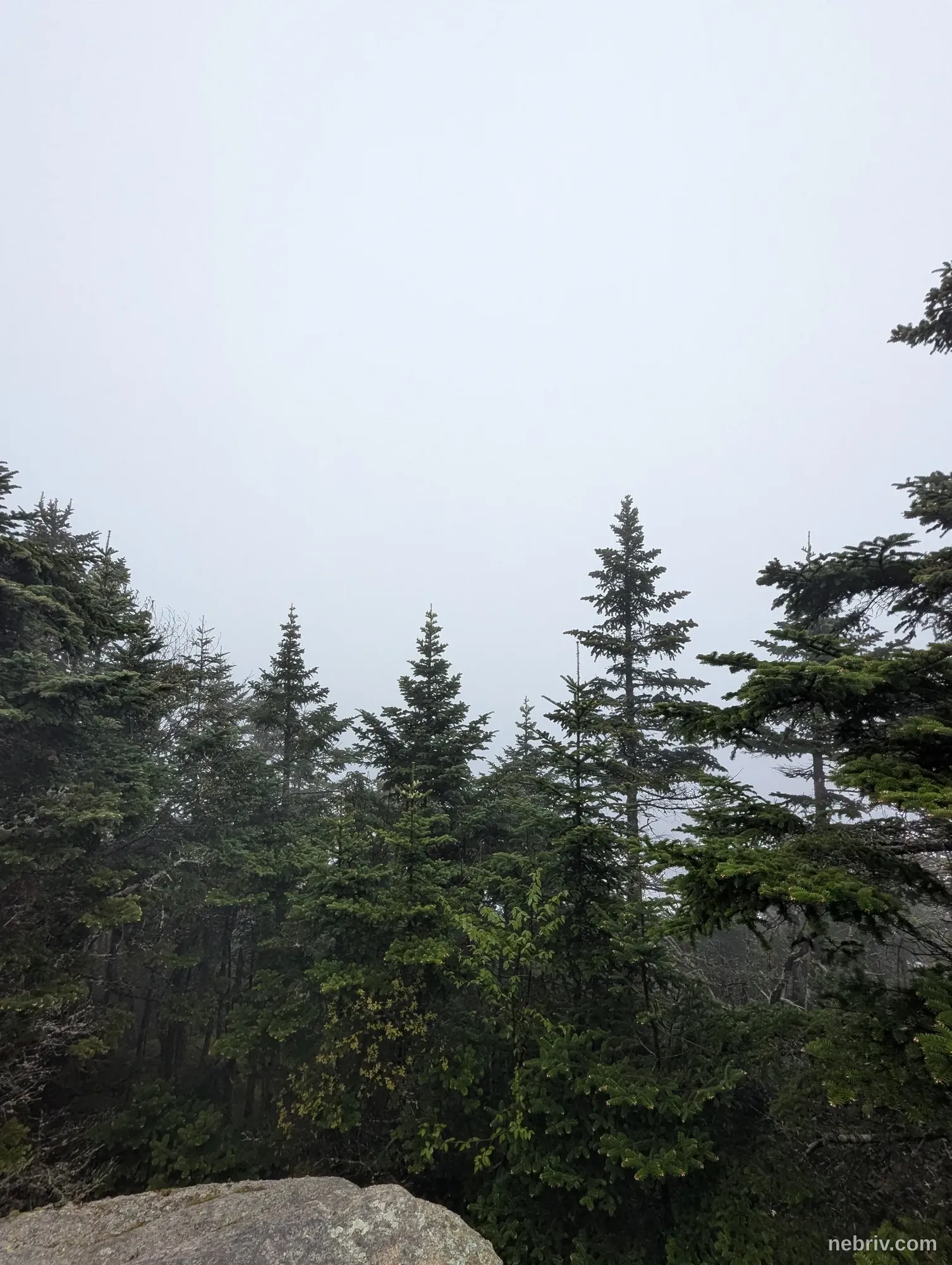 Photo of a map from Ben Virgilio with title Giant Ledge and Panther Mountain Trail