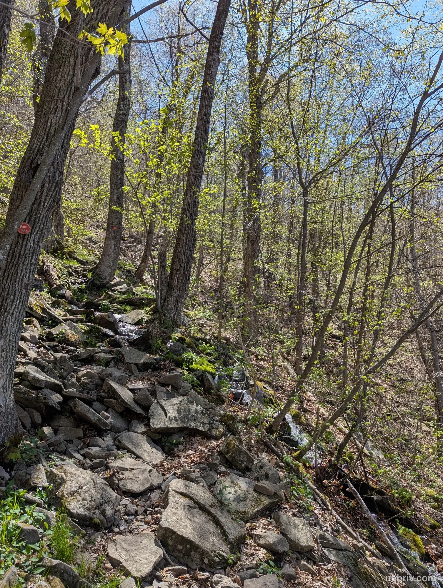 Photo of a map from Ben Virgilio with title Plateau Mountain