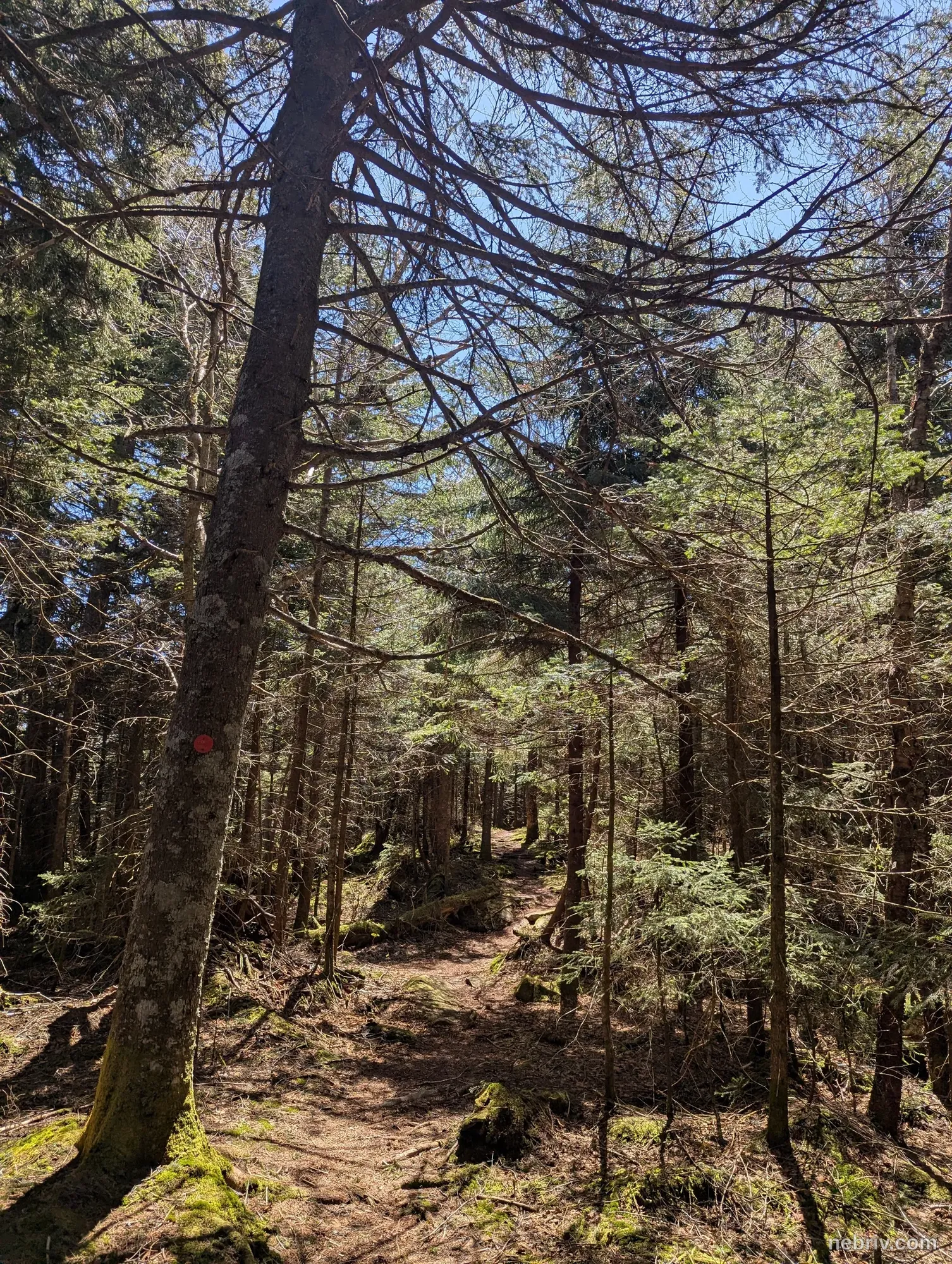 Photo of a map from Ben Virgilio with title Plateau Mountain
