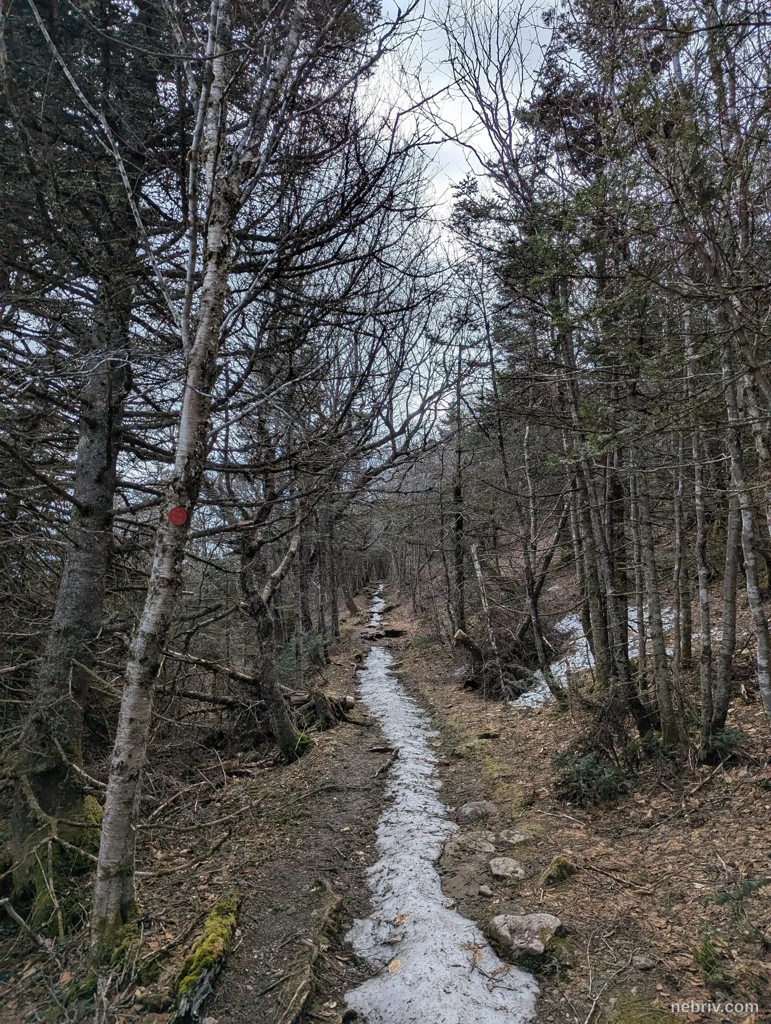 Photo of a map from Ben Virgilio with title Slide Mountain Trail