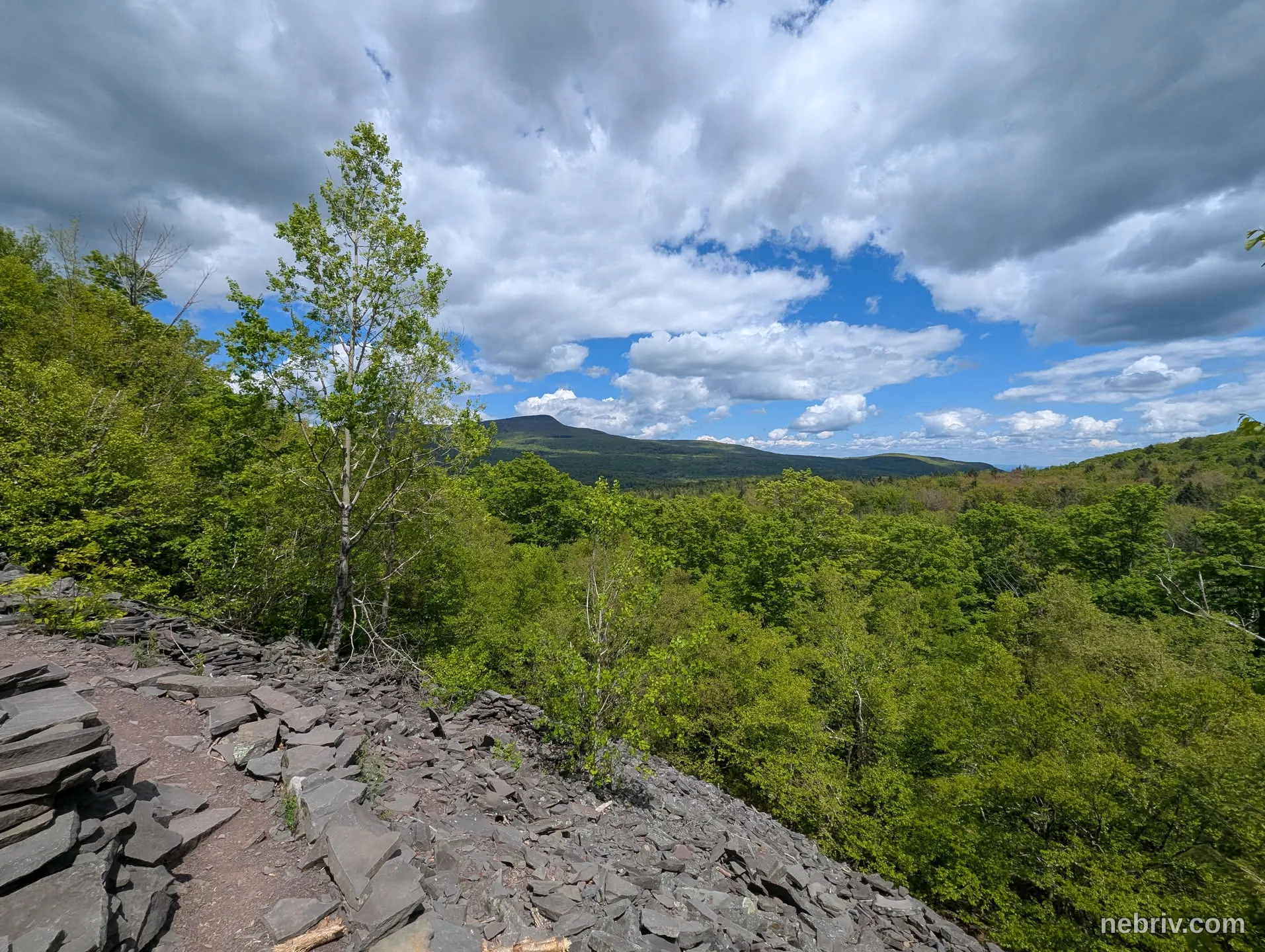 Image taken in Tannersville, United States of America on May 26, 2025