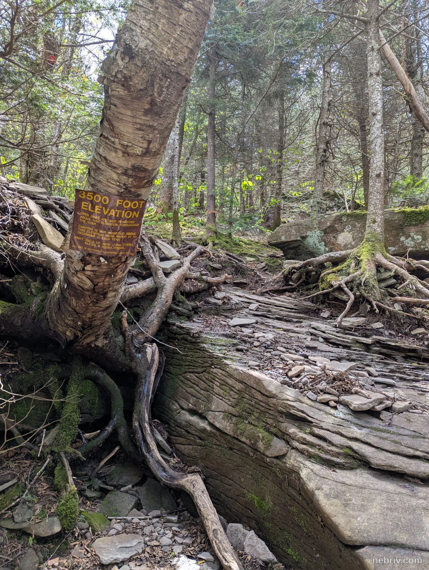 Image taken in Tannersville, United States of America on May 26, 2025