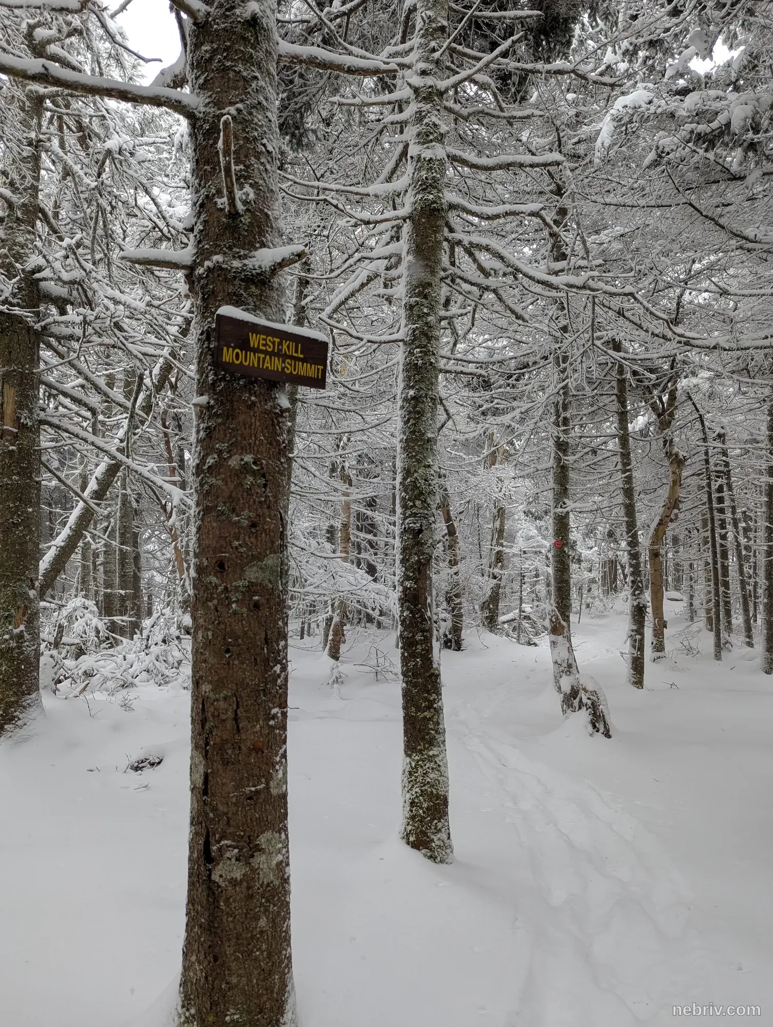 Photo of a map from Ben Virgilio with title West Kill Mountain to Buck Ridge Lookout